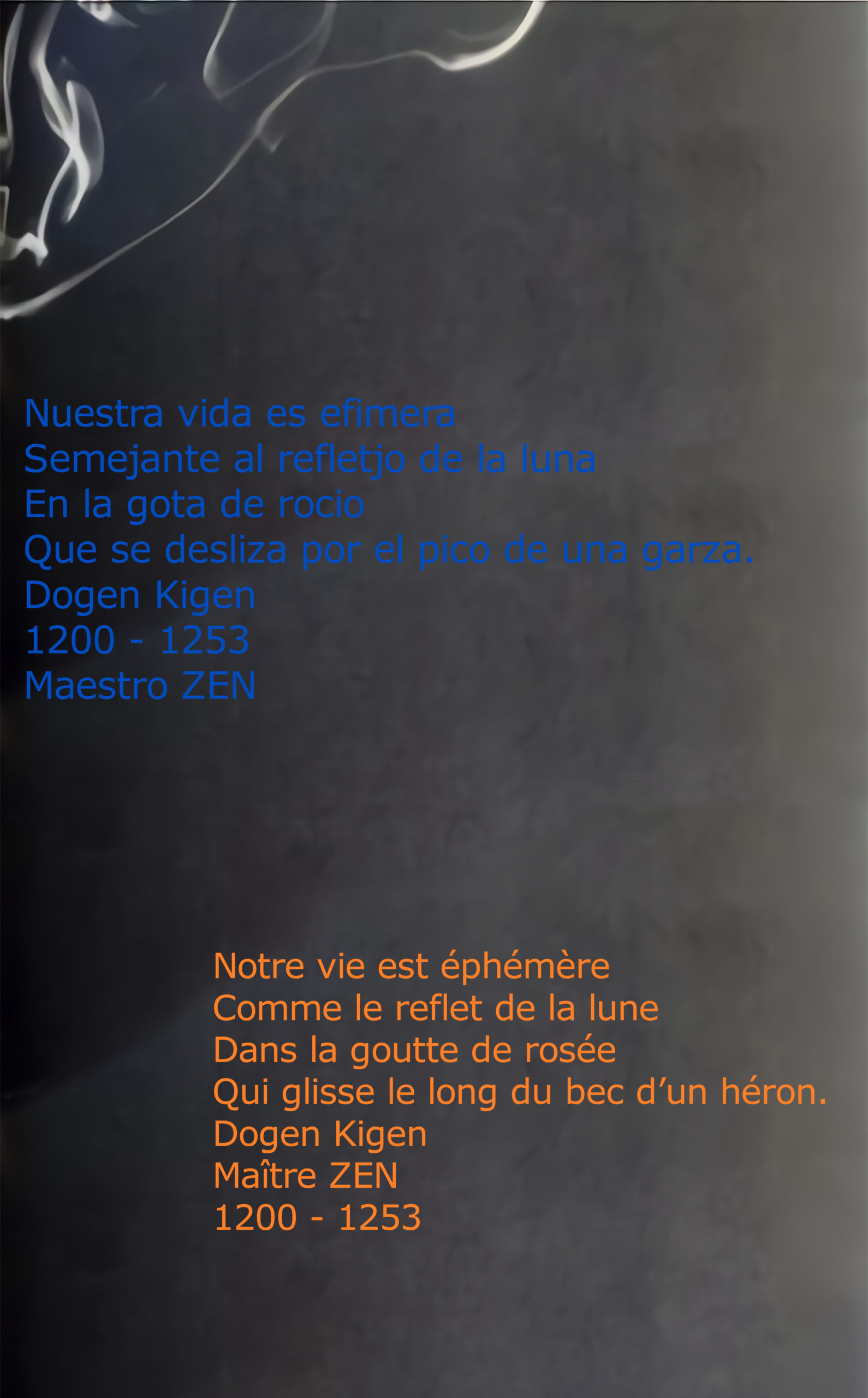 citation maître zen